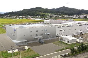Akita Image